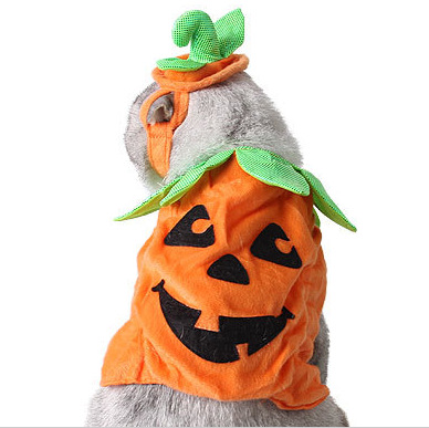 2022 Wholesale cute funny INS pumpkin designer luxury fashion holiday pet cat halloween costumes clothes for  dog